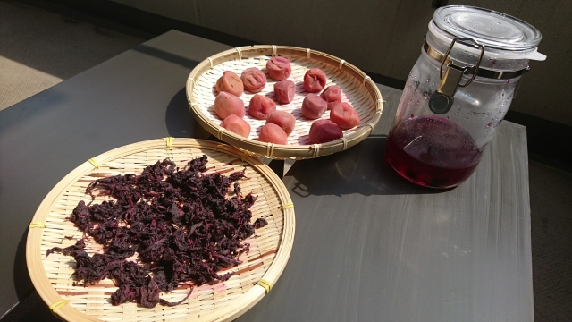 天日干しをしているザルに入った梅と赤紫蘇と瓶に入った梅酢