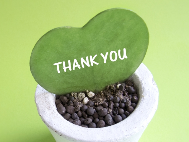 THANK YOUと書かれた鉢植えの観葉植物
