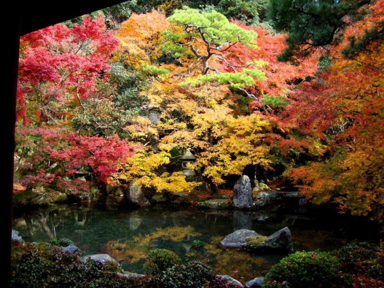 秋　京都　紅葉