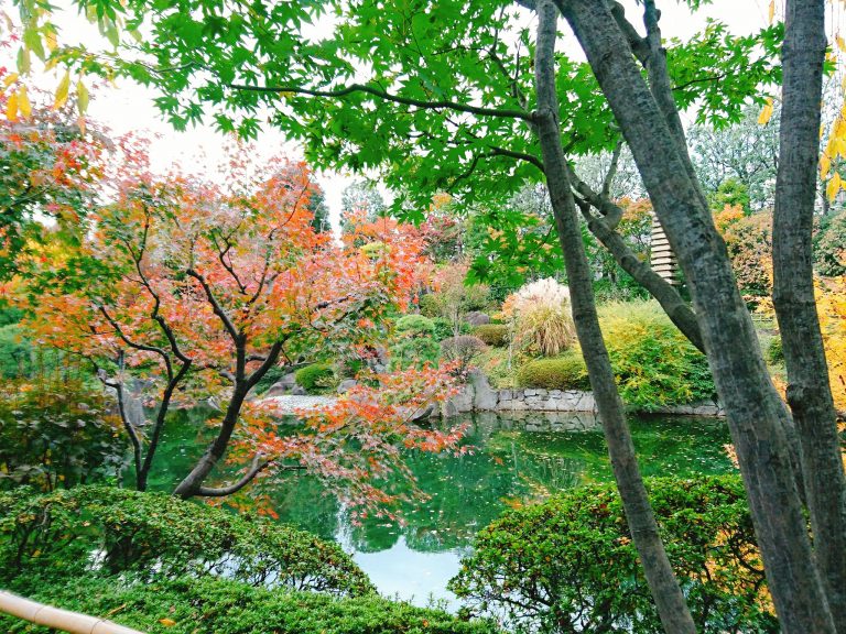 目白庭園　紅葉